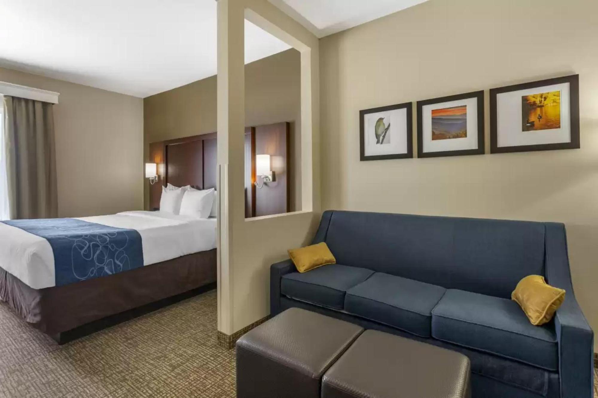 Comfort Suites At Rivergate Mall Goodlettsville Exterior photo